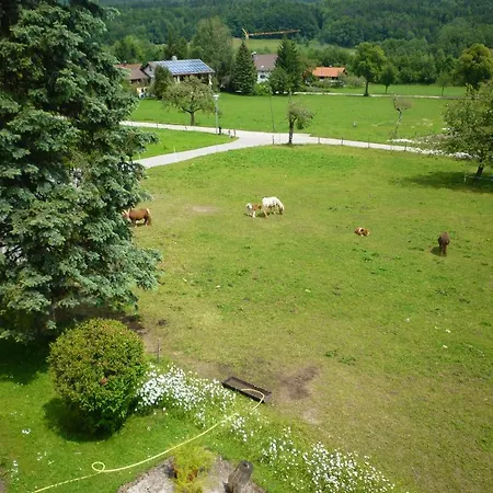 Gæstehus Gaestehaus Binder