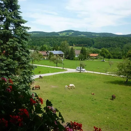 Gaestehaus Binder Гостевой дом